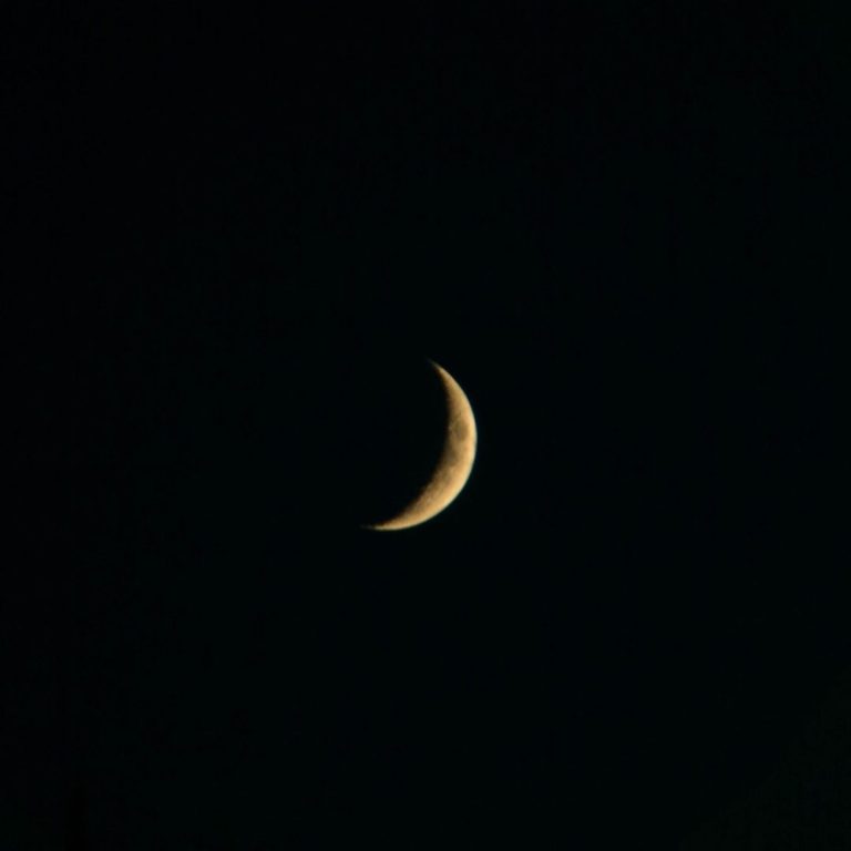 The Moon RASOR